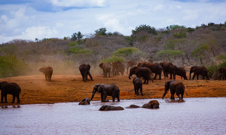 2 Days Safari Tsavo East National Park