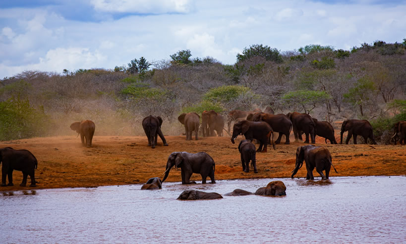 National Game Park