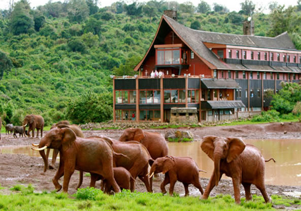 5 Days, Aberdares, Mara, Nakuru