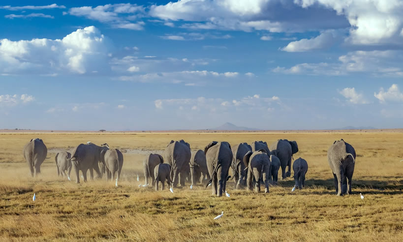 National Game reserve