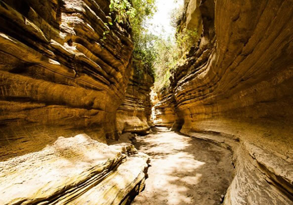 1 Day Hell’s Gate  Safari