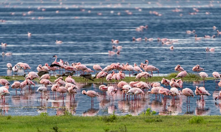 lake nakuru 2 days