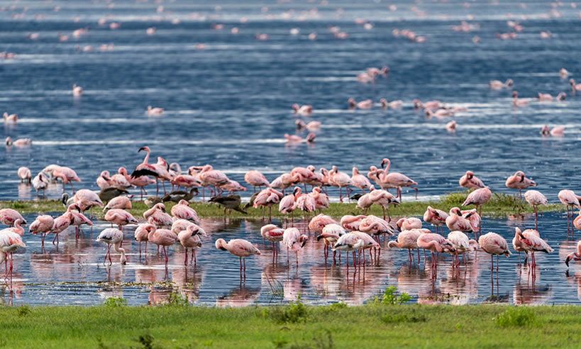 National Game reserve